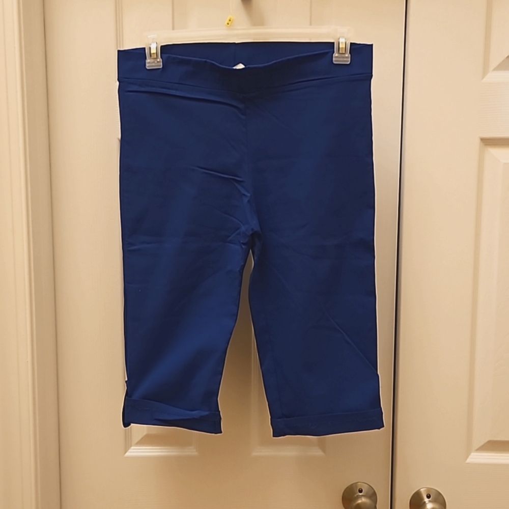 Jesse & J Blue Capris Size 1X